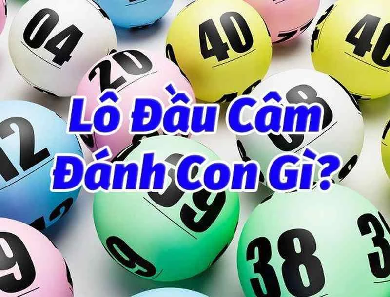 Đầu câm hoặc đuôi câm có thể dùng để nuôi lô kép